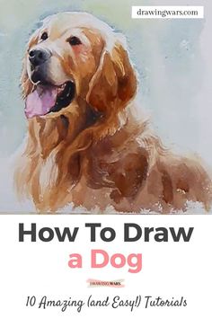 an image of a dog with the title how to draw a dog