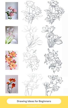 some flowers are drawn in different ways