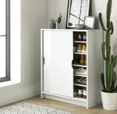 a white shoe cabinet next to a cactus in a room with a window and rug on the floor