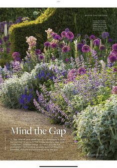 a garden filled with lots of flowers next to a lush green hedge covered in purple and white flowers