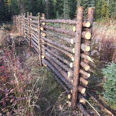 a fence made out of logs in the woods