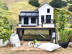 a dog laying on top of a rug in front of a small house with a chicken coop