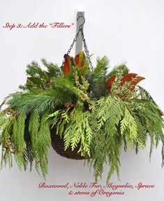 a hanging basket filled with lots of green leaves and greenery next to a white wall