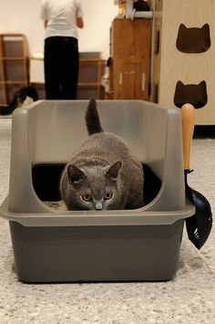 a cat laying in a litter box on the floor