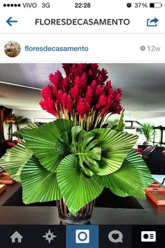 a vase filled with red flowers on top of a table