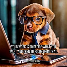 a small dog wearing glasses and sitting in front of a laptop with the caption your works to decide what you want, want and then focus upon that