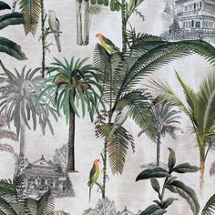 a tropical wallpaper with birds, palm trees and houseplants on white background