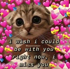 a cat is looking at the camera with hearts in the background and text that reads, i wish i could be with you right now, i miss you