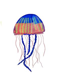 a drawing of a colorful jellyfish on a white background with watercolors in it