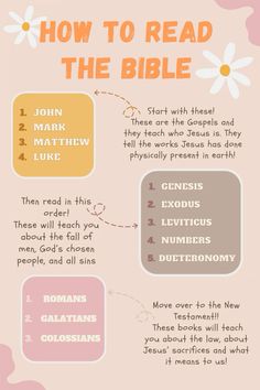 the bible info sheet is shown in pink, yellow and orange colors with text that reads how