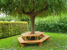 a wooden picnic table under a tree in the grass