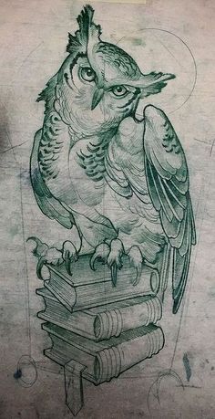 a drawing of an owl sitting on top of a stack of books and reading a book