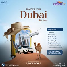 an advertisement for a travel company with a camel and car in the middle of it