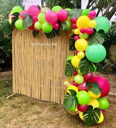 a bunch of balloons that are hanging from a basket in the grass and some plants