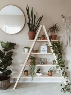 a shelf with potted plants on it next to a mirror and wall hangings