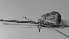 a black and white photo of a rock on a twig with a stick sticking out of it