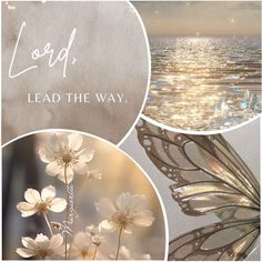 the words lead the way are shown in three different pictures, including flowers and a butterfly