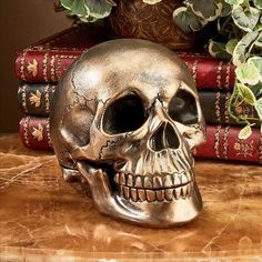 a skull statue sitting on top of a table next to some books and a potted plant