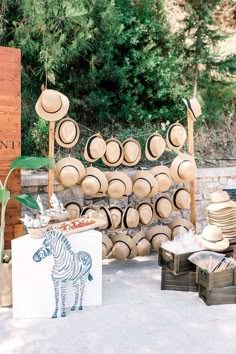 hats and other items are on display in front of a wooden sign that says safari