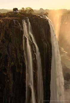 an elephant standing on the edge of a cliff next to a waterfall with water cascading down it