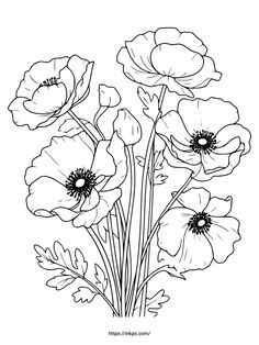 some flowers that are black and white