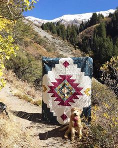 a dog sitting in front of a quilt on the side of a dirt road with mountains in the background