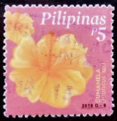 a postage stamp with a flower on it's front and the words, philippines 5