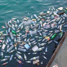 many plastic bottles are floating in the water