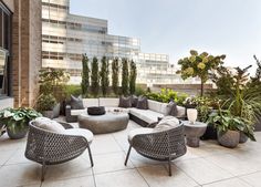 an outdoor seating area with couches and potted plants