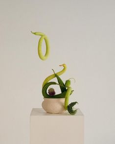 a white vase filled with green plants on top of a wooden block in front of a white wall