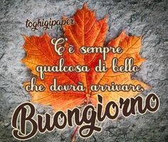 a leaf that is sitting on top of a stone wall with the words'e sempe qualosa di bello, che da arrivore