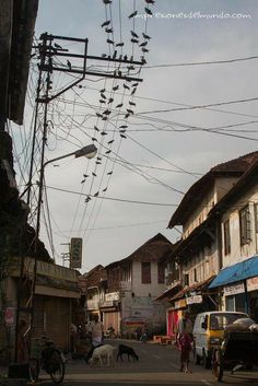 the street is crowded with people and animals