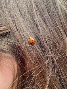 a lady bug crawling on the hair of a woman