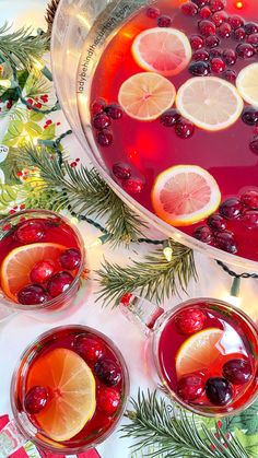 two glasses of cranberry punch with lemons and orange slices