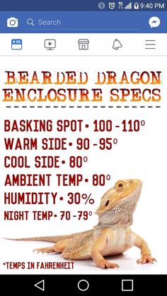 the bearded dragon enclosure specs app on an iphone