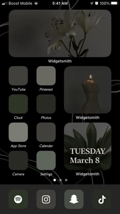 an iphone screen with the text tuesday march 8, widgetstamn and images