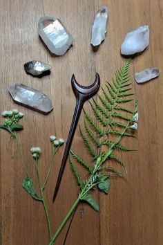 some rocks and plants on a table with a pair of scissors next to them,