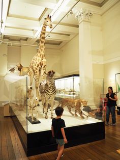 people looking at stuffed animals on display in a museum