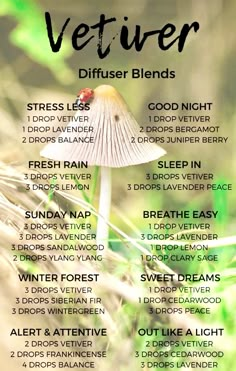 Vetiver Diffuser Blends, Doterra Blends, Doterra Diffuser, Doterra Diffuser Blends, Essential Oil Combinations, Vetiver Essential Oil, Doterra Essential Oils Recipes, Essential Oil Diffuser Blends Recipes, Young Living Essential Oils Recipes