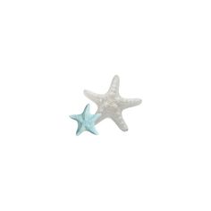 two starfishs on a white background with one blue and the other light green