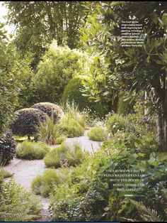 an outdoor garden with lots of plants and trees in the background, surrounded by shrubbery