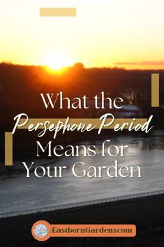 the sun setting over a body of water with text that reads, what the presphanae period means for your garden