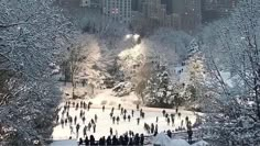 people are skating on the ice rink in central park, new york city during winter