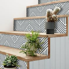 some plants are sitting on wooden shelves in front of a wall that has geometric tiles