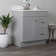 a bathroom sink with a mirror above it next to a potted plant