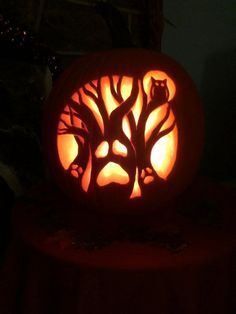 a carved pumpkin with an owl and tree on it