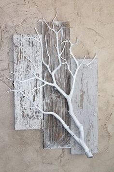 a white tree branch is mounted on a wall next to a piece of weathered wood