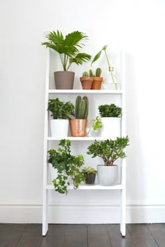 a white shelf filled with potted plants on top of a wooden floor next to a wall