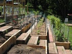 several rows of raised garden beds in a yard