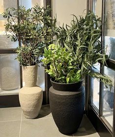 two potted plants sitting next to each other in front of a glass window on a tiled floor